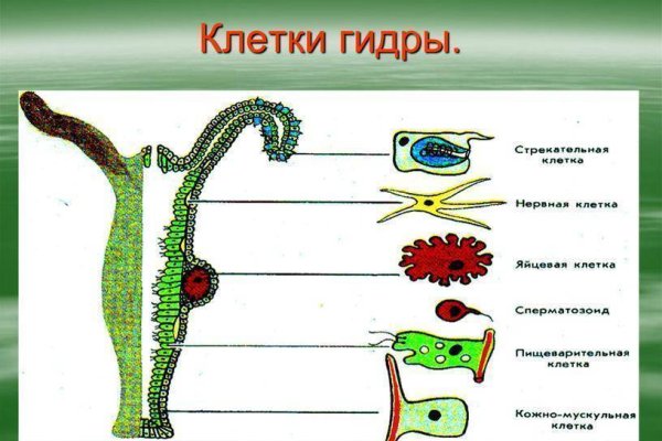 Оригинальные ссылки кракена